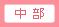 中部